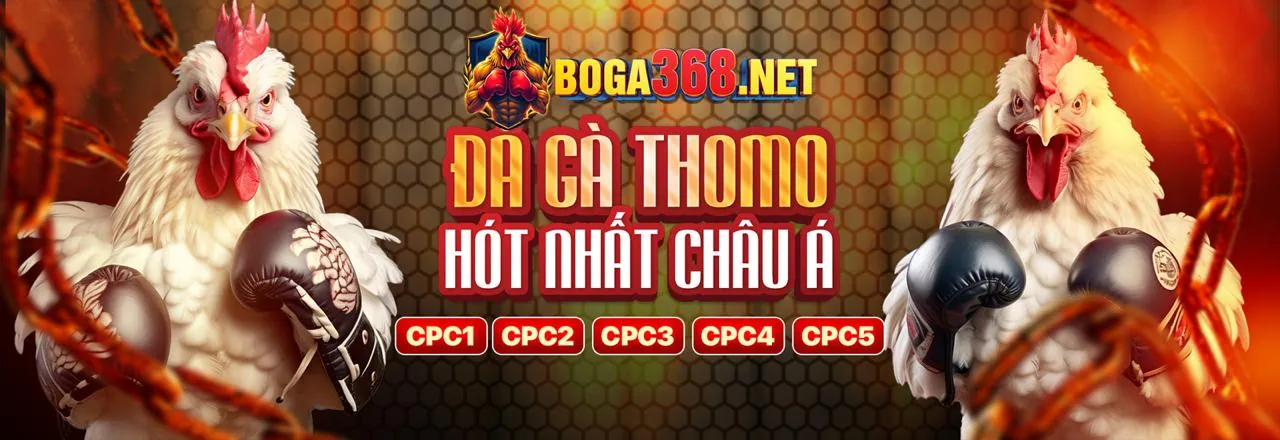 Trò chơi Đá Gà QH99